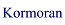 Kormoran