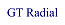 GT Radial